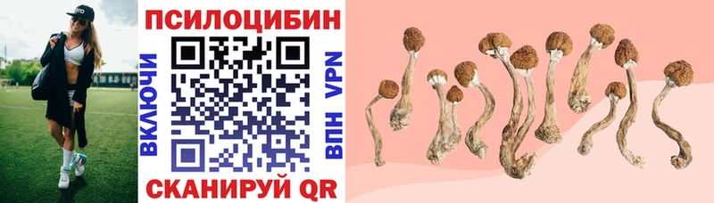 Галлюциногенные грибы прущие грибы закладка Новозыбков